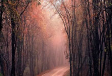 核武器回归！现在的波尔津吉斯，到底有多强？.