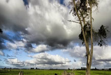 27轮不败！五大联赛首支冠军队浮现：剩余7轮全输，也有望夺冠.